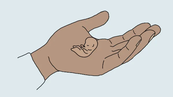 Einfache Strichzeichnung einer Hand, die sanft einen kleinen menschlichen Embryo hält, vor einem hellblauen Hintergrund.