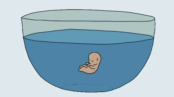 Eine vereinfachte Zeichnung eines Fötus, der in einer Glasschüssel mit klarem Wasser schwimmt.